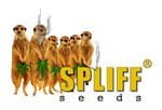 Spliff Seeds logo