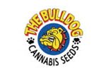 The Bulldog Seeds logo