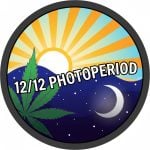 12/12 Photoperiod