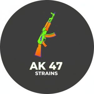 AK 47 Strains