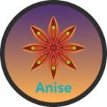 Anise