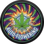 Autoflowering