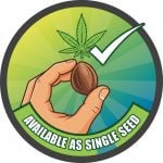 Available as Single Seed