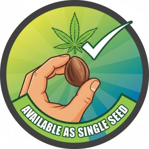 Available as Single Seed
