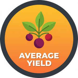 Average Yield