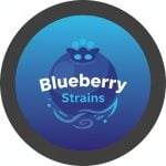 Blueberry Strains