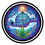 Cerebral