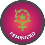 Feminised