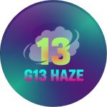 G13 Haze Strains