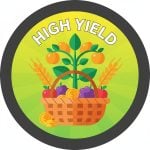 High Yield