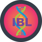 IBL