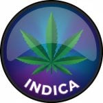 Indica