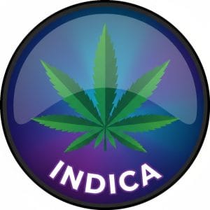 Indica