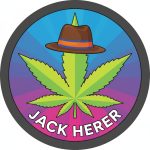 Jack Herer Strains