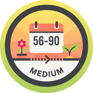 Medium (56 to 90 days)