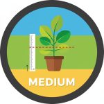 Medium (81cm - 140cm)