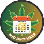 Middle of December