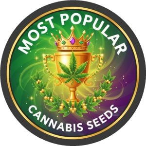 Most Popular
