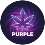 Purple Strains