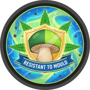 Resistant to Mould