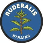 Ruderalis Strains