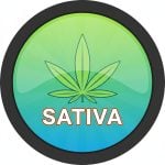 Sativa