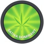 Sativa Dominant