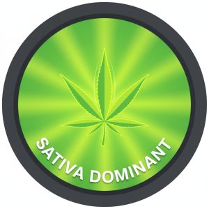 Sativa Dominant