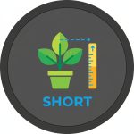 Short (up to 80cm)