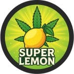 Super Lemon Haze Strains