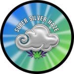 Super Silver Haze Strains
