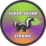 Super Skunk Strains