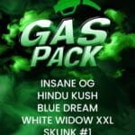 Barney's Farm Seeds Gas Pack cannabis plant image 1