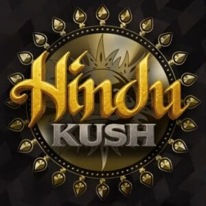 Barney's Farm Seeds Hindu Kush cannabis plant image 1