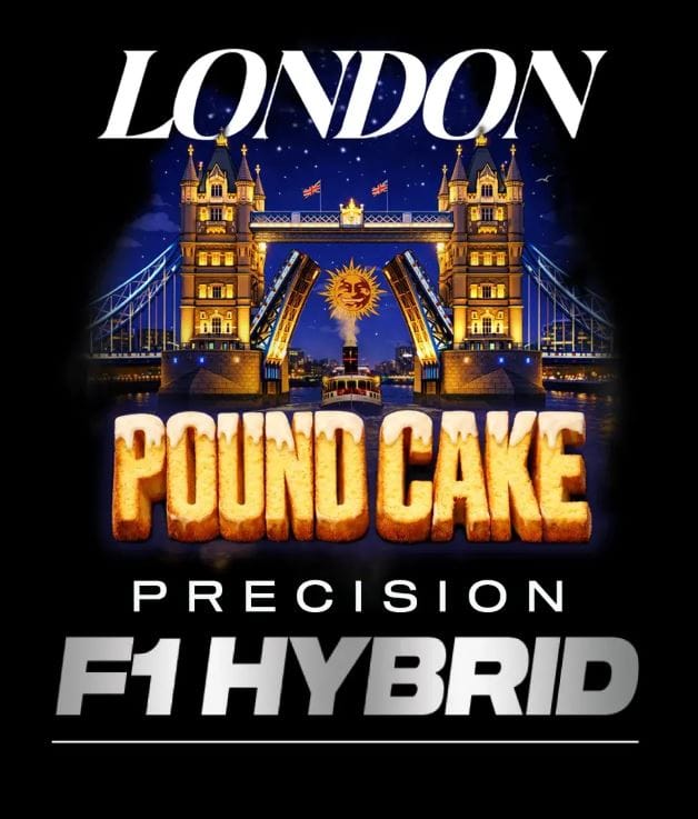 Barney's Farm Seeds London Pound Cake F1 cannabis plant image 1