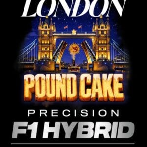 Barney's Farm Seeds London Pound Cake F1 Auto cannabis plant image 1
