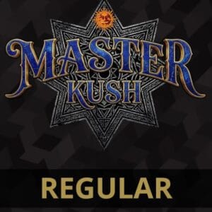 Barney's Farm Seeds Master Kush cannabis plant image 1