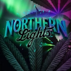 Barney's Farm Seeds Northern Lights cannabis plant image 1