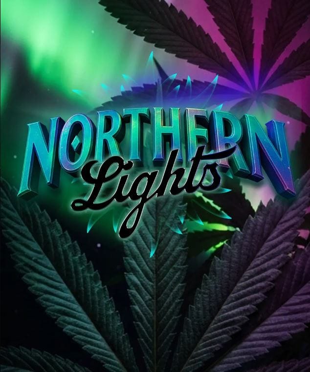 Barney's Farm Seeds Northern Lights cannabis plant image 1