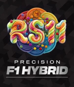 RS11 F1