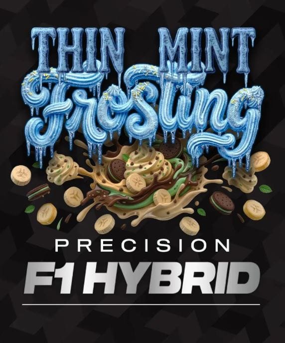 Barney's Farm Seeds Thin Mint Frosting F1 cannabis plant image 1