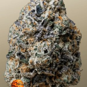 FastBuds Gary Sherbet cannabis plant image 1