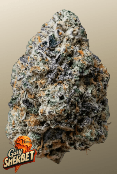 FastBuds Gary Sherbet cannabis plant image 1