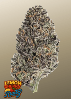 Lemon Cherry Runtz