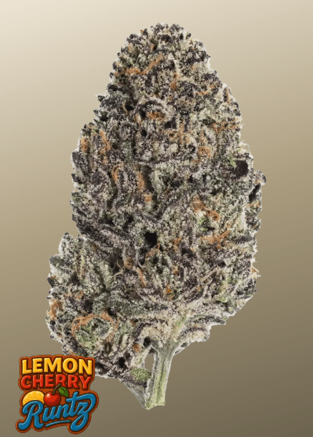 FastBuds Lemon Cherry Runtz cannabis plant image 1