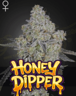 Honey Dipper