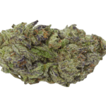 Growers Choice Blue Zeclair cannabis plant image 2