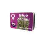 Growers Choice Blue Zeclair cannabis plant image 3