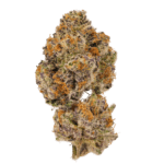 Growers Choice Lemon Cherry Mochi Auto cannabis plant image 3