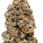 Growers Choice Milkshake Nerdz cannabis plant image 3